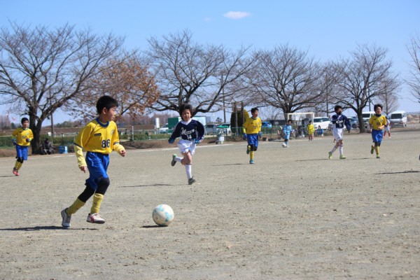 写真１１
