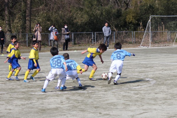 写真１