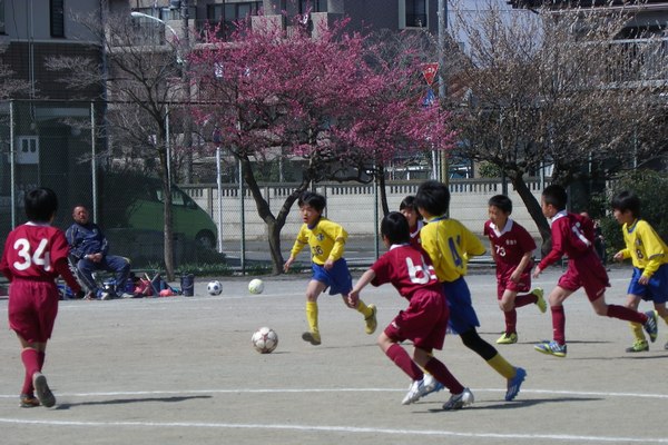 写真７