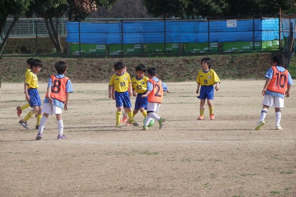 写真１１