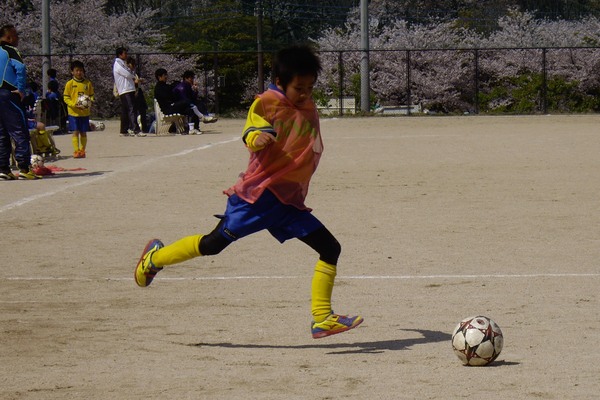写真７