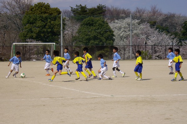 写真８