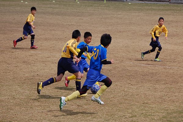 写真６