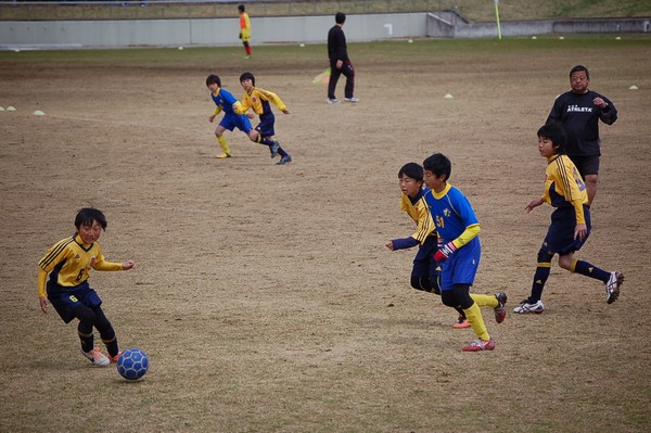 写真７