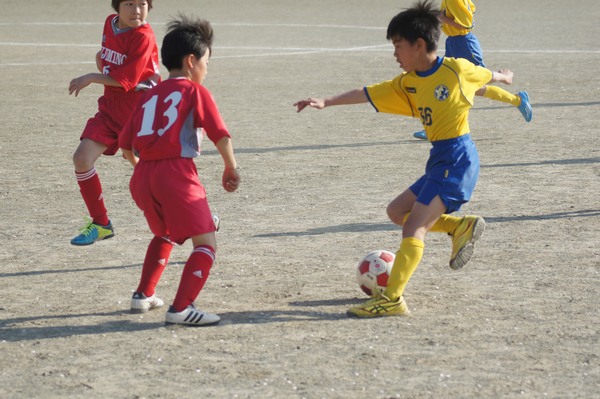 写真６