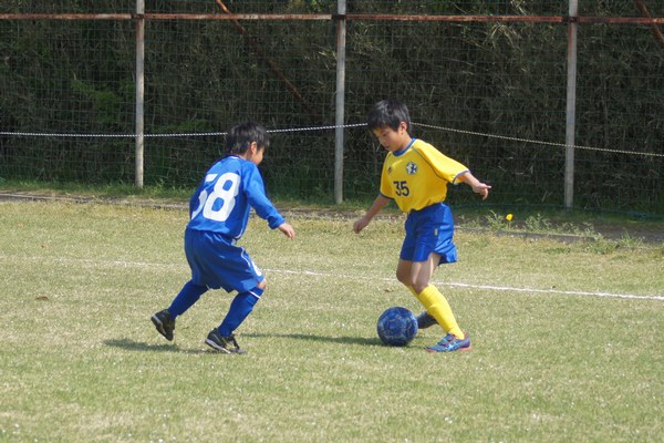 写真１
