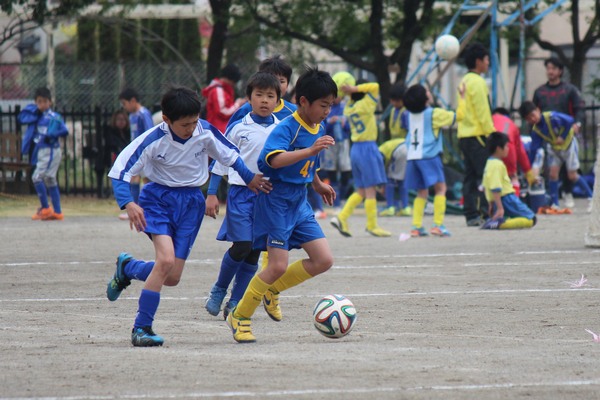 写真９