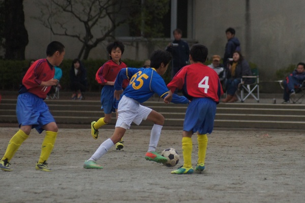 写真１１