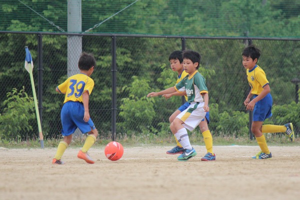 写真７