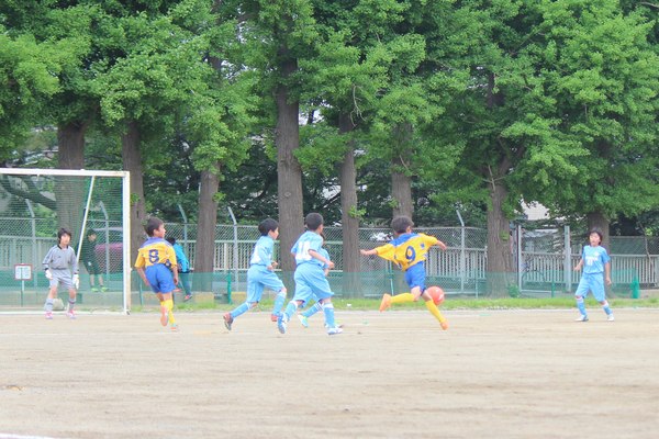写真７