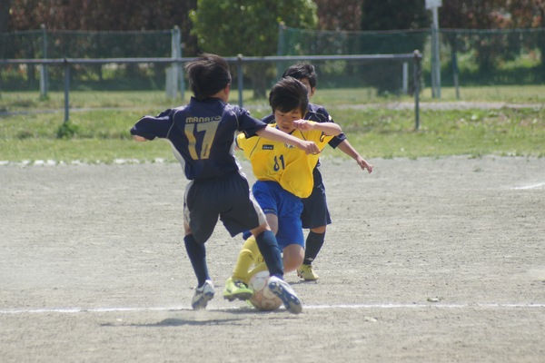 写真１