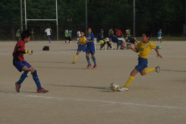 写真７