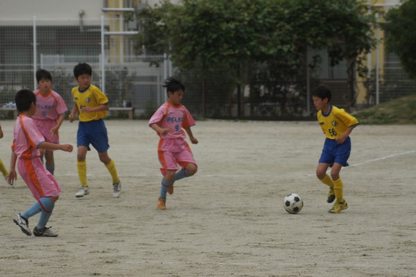 写真１