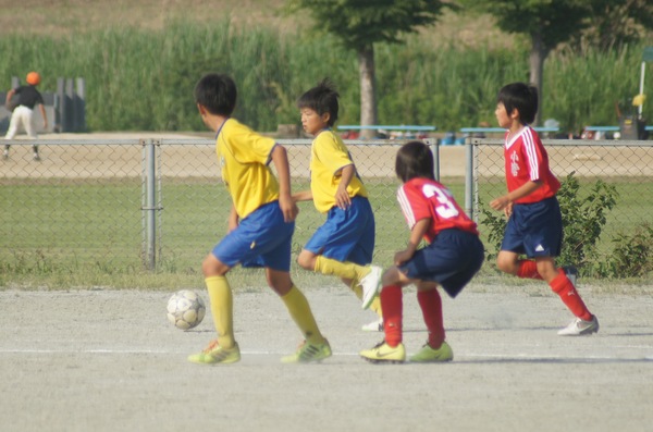 写真７