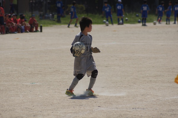 写真２
