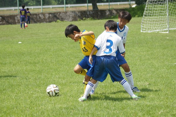 写真７