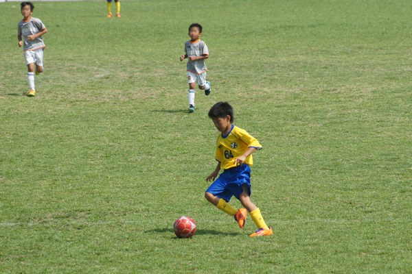 写真７