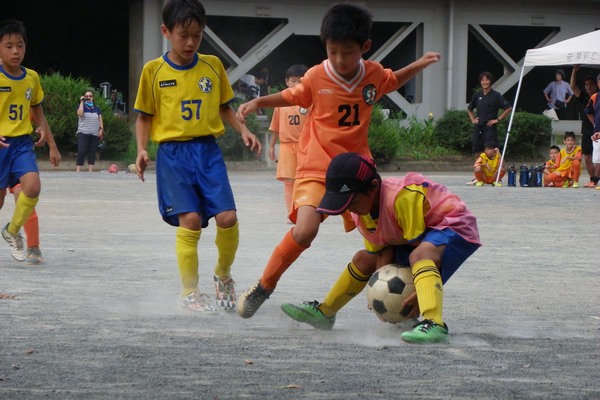写真７