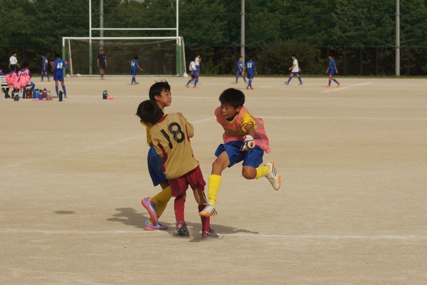 写真６