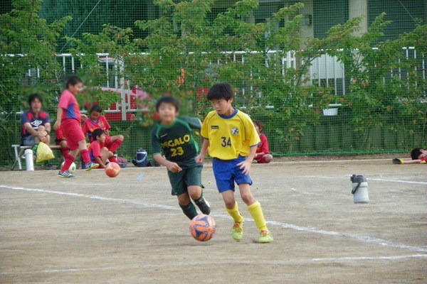 写真９