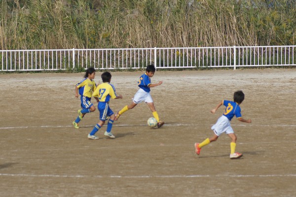 写真６