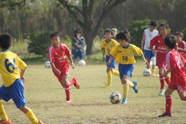 写真７