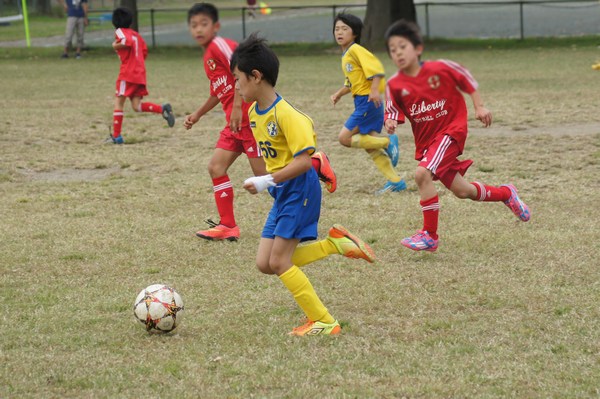 写真１１