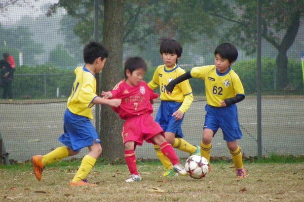写真８