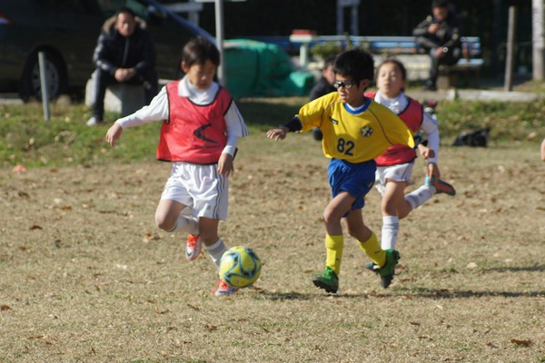 写真６