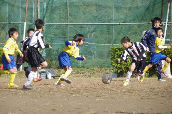 写真７