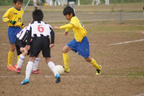 写真６