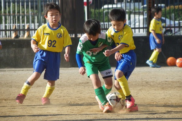 写真６