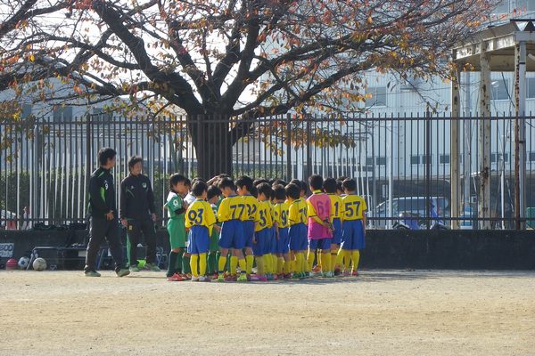 写真１１