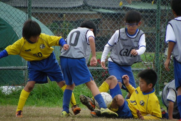 写真７