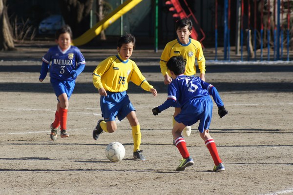 写真６