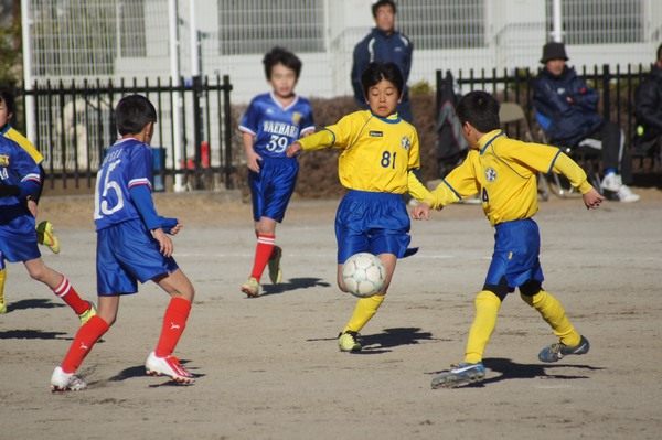 写真７