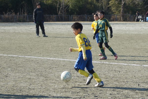 写真７