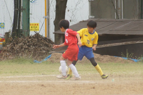 写真７