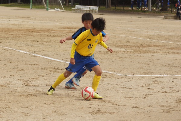 写真６