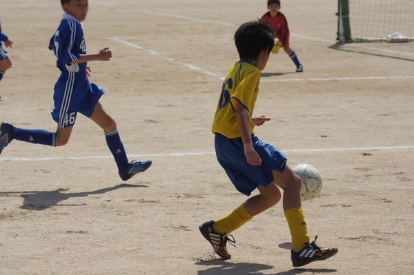 写真６