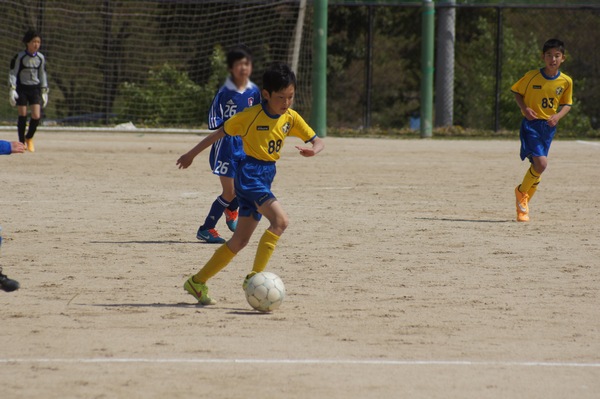 写真７