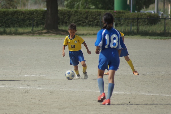 写真１