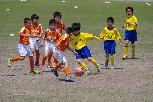 写真５