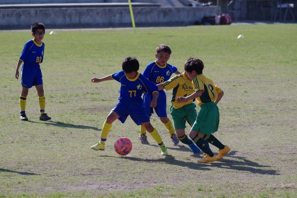 写真８