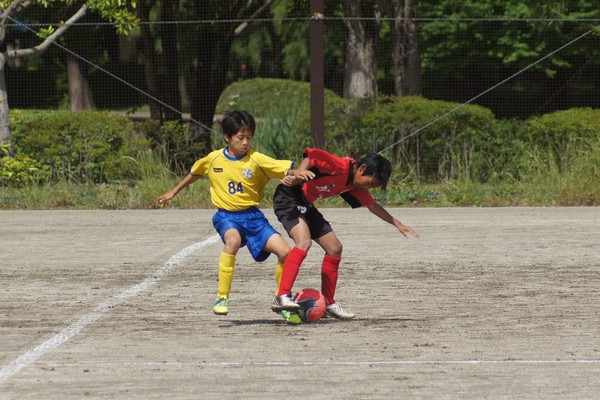 写真１