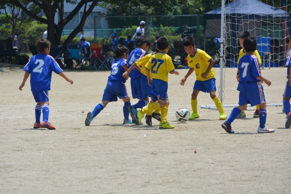 写真７