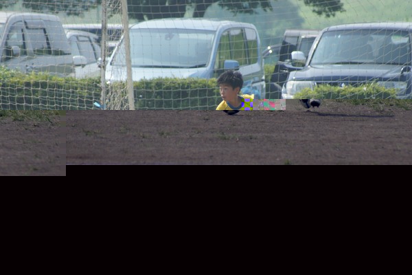 写真２