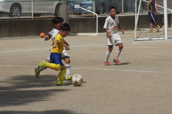 写真８
