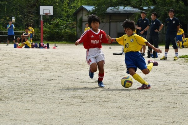 写真１