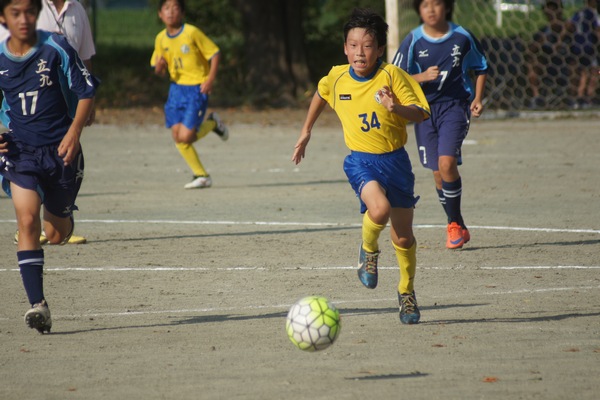 写真１
